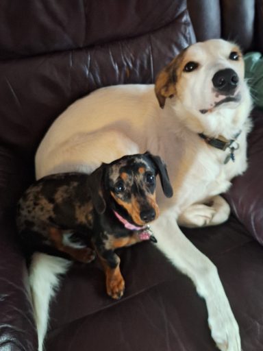 Berty & Suzi