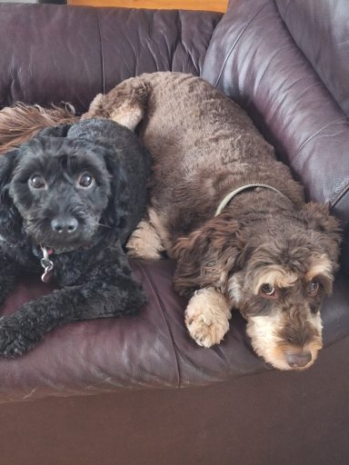 Jax & Lacy