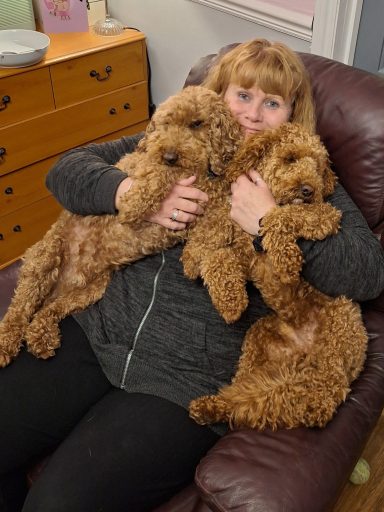 Lookalikes!