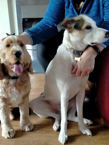 Doug and Berty