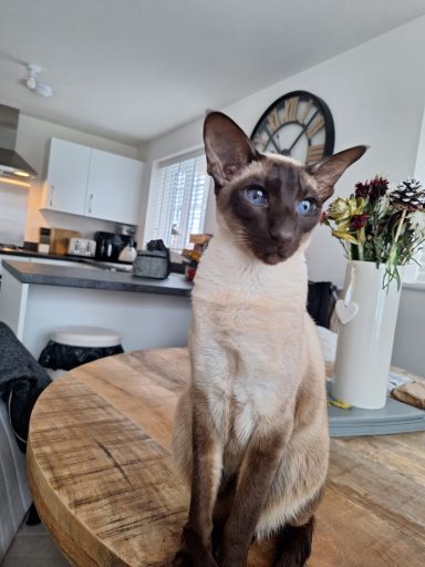 Saffy