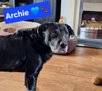 Archie