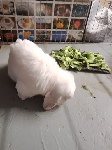 Peggy